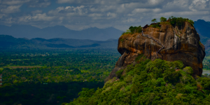 pexels-harsha-samaranayake-303340503-13391116 1